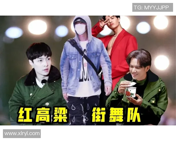 杭州街舞队心理素质分析及其对团队表现的影响研究