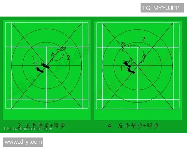 深圳羽毛球队与重庆羽毛球队赛后战术分析与总结探讨 深圳羽毛球队与重庆羽毛球队赛后战术分析与总结探讨
