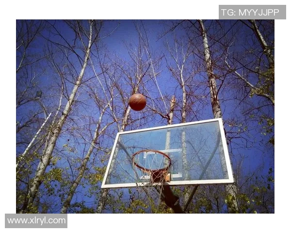 张庆鹏:从篮球场到人生舞台的奋斗与蜕变之路 张庆鹏:从篮球场到人生舞台的奋斗与蜕变之路